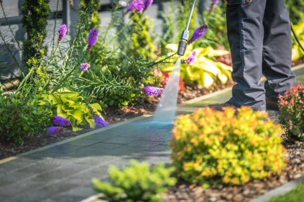 Trusted Pheasant Run, OH  Pressure Washing Services Experts